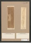 Navicula crabro (Ehr.) Kuetz. (de-Toni-Nr.: Genus 1, Species 197) Zeichnungen Sammlung Grunow Nr. 496 (NHMW-BOT-W0366839)